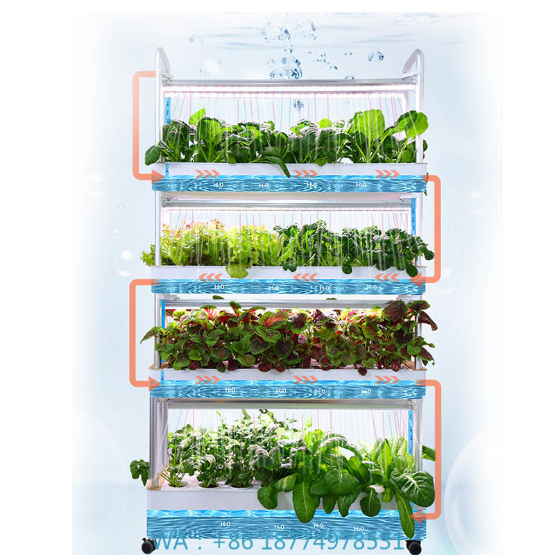 Home Automation System Diy - Système de plantation ydroponique système domotique