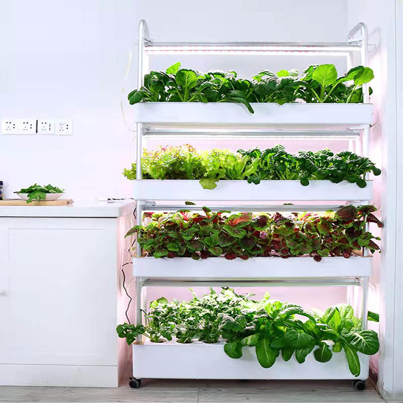 Système de plantation ydroponi - Home Automation System Diy avis et prix