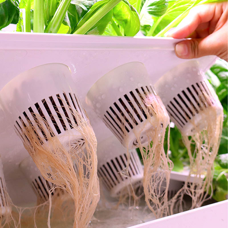 Système de plantation ydroponi - Home Automation System Diy avis et prix